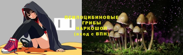 2c-b Мегион