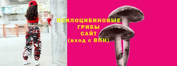PSILOCYBIN Медвежьегорск