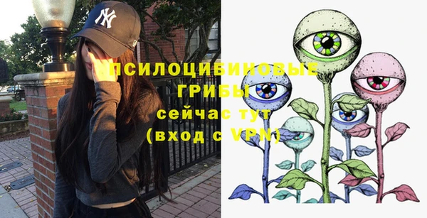 2c-b Мегион