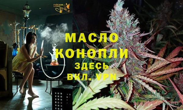 твердый Магас