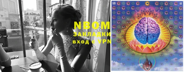 PSILOCYBIN Медвежьегорск