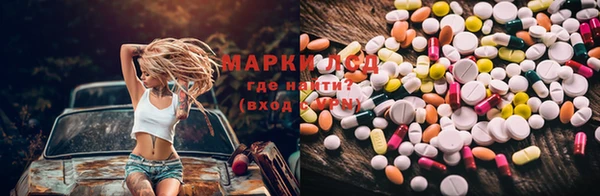 PSILOCYBIN Медвежьегорск