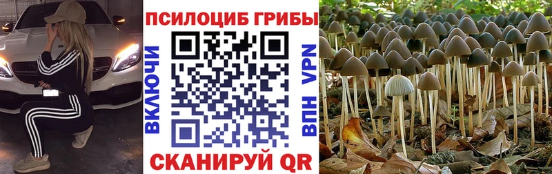 Псилоцибиновые грибы MAGIC MUSHROOMS Купить где Волгореченск